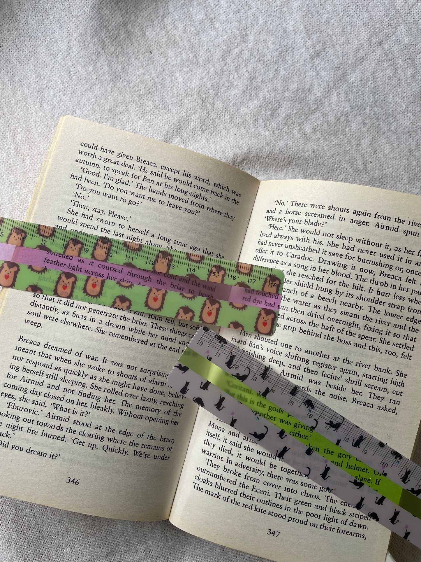 Purple Tinted Reading Ruler