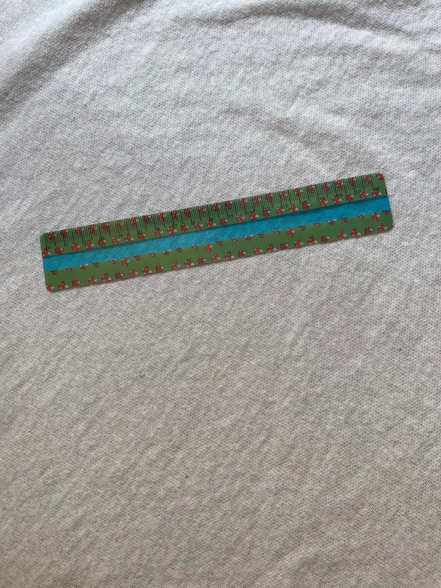 Blue Tinted Reading Ruler